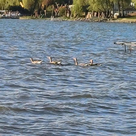 Gosciniec Twoje Mazury Nad Jeziorem Sniardwy Tuz Obok Plazy Nowe Guty Dış mekan fotoğraf
