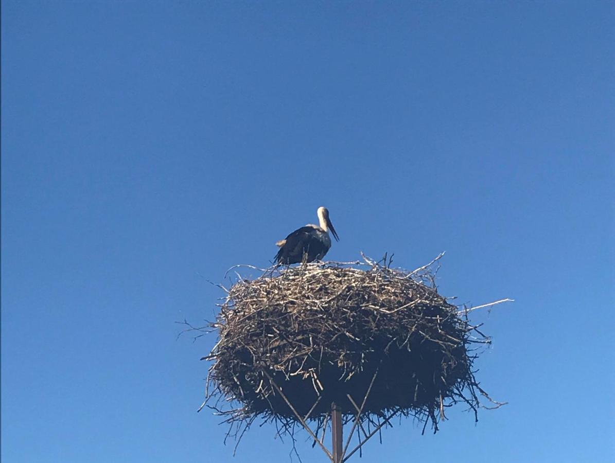 Gosciniec Twoje Mazury Nad Jeziorem Sniardwy Tuz Obok Plazy Nowe Guty Dış mekan fotoğraf
