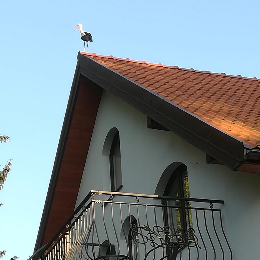 Gosciniec Twoje Mazury Nad Jeziorem Sniardwy Tuz Obok Plazy Nowe Guty Dış mekan fotoğraf