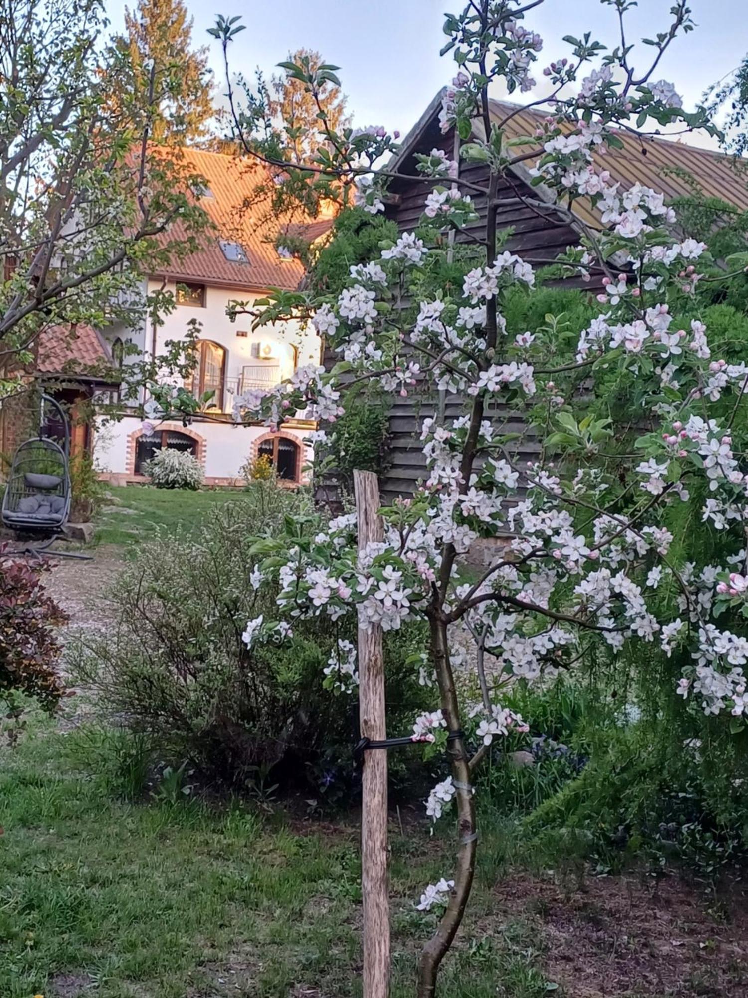 Gosciniec Twoje Mazury Nad Jeziorem Sniardwy Tuz Obok Plazy Nowe Guty Dış mekan fotoğraf